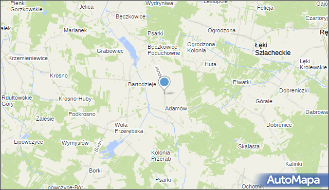 mapa Janów, Janów gmina Łęki Szlacheckie na mapie Targeo